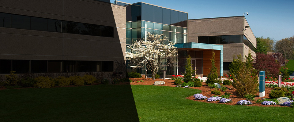 San Fernando Landscapers