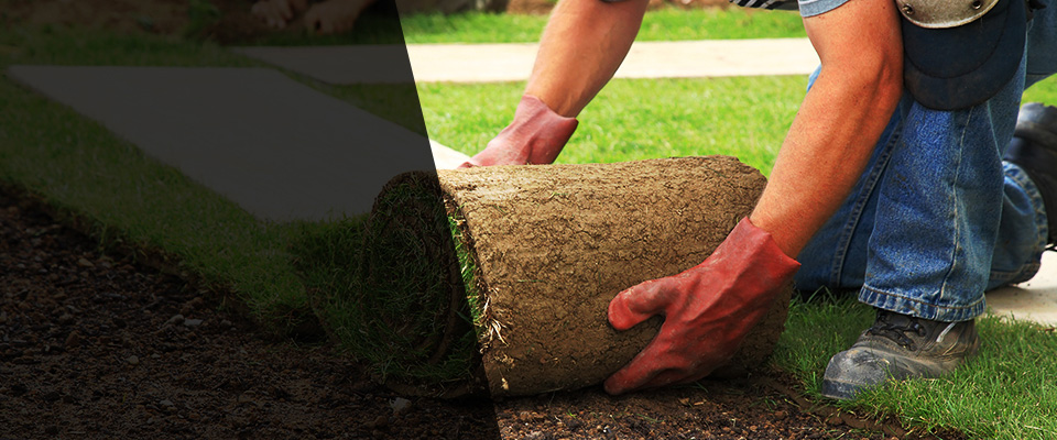 San Fernando Landscapers